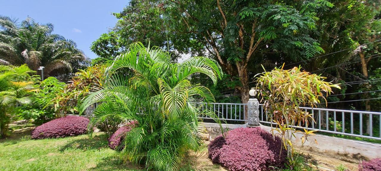 Le Chant De Merle Self -Catering Studios And Apartments Mahe Island Екстер'єр фото