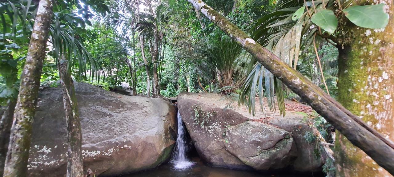 Le Chant De Merle Self -Catering Studios And Apartments Mahe Island Екстер'єр фото