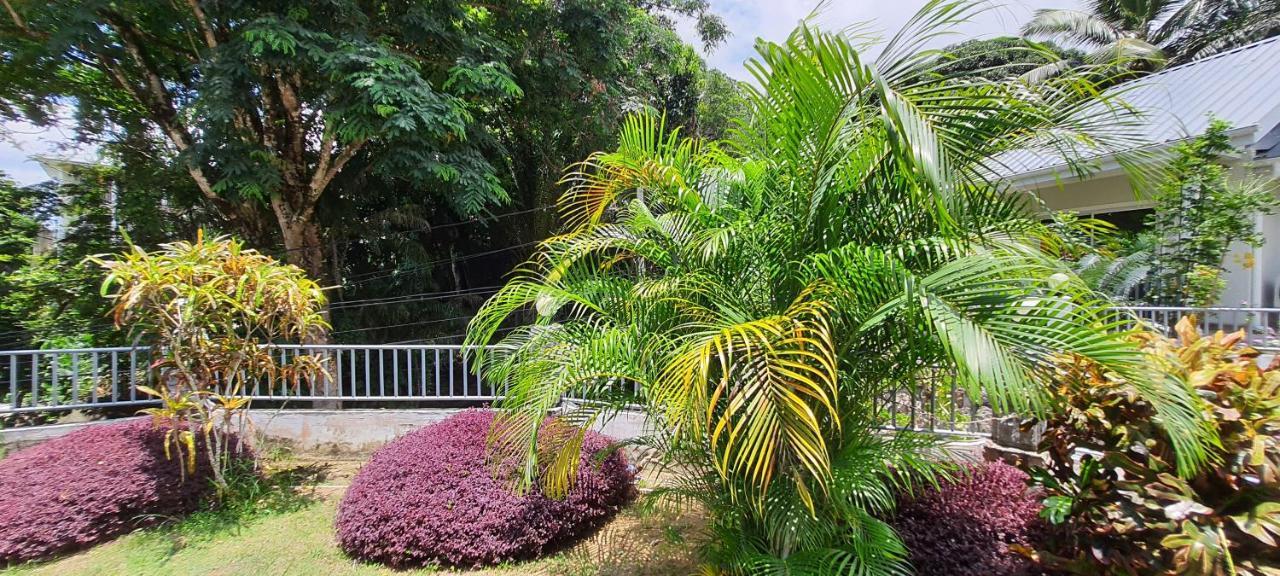 Le Chant De Merle Self -Catering Studios And Apartments Mahe Island Екстер'єр фото