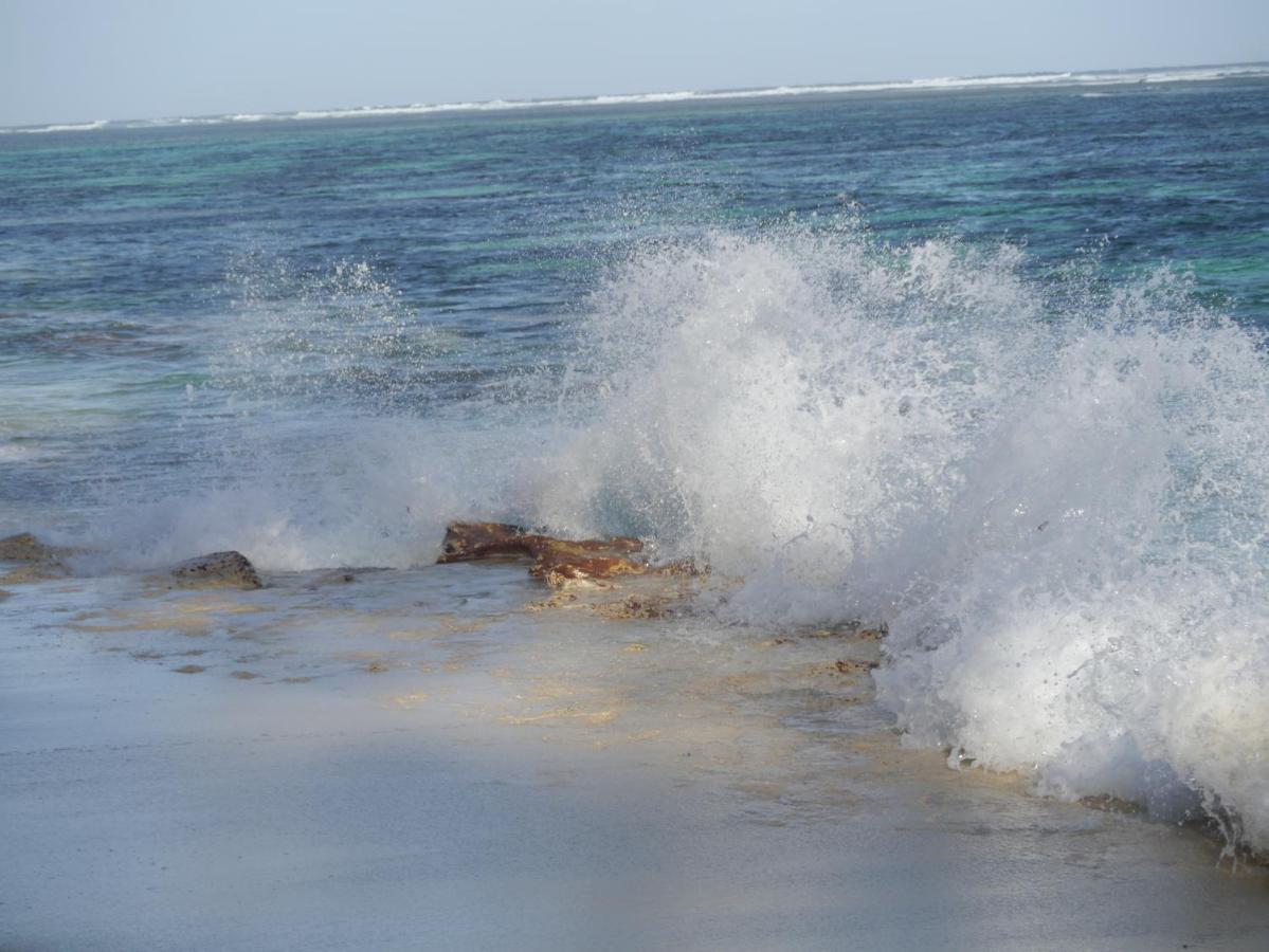 Le Chant De Merle Self -Catering Studios And Apartments Mahe Island Екстер'єр фото