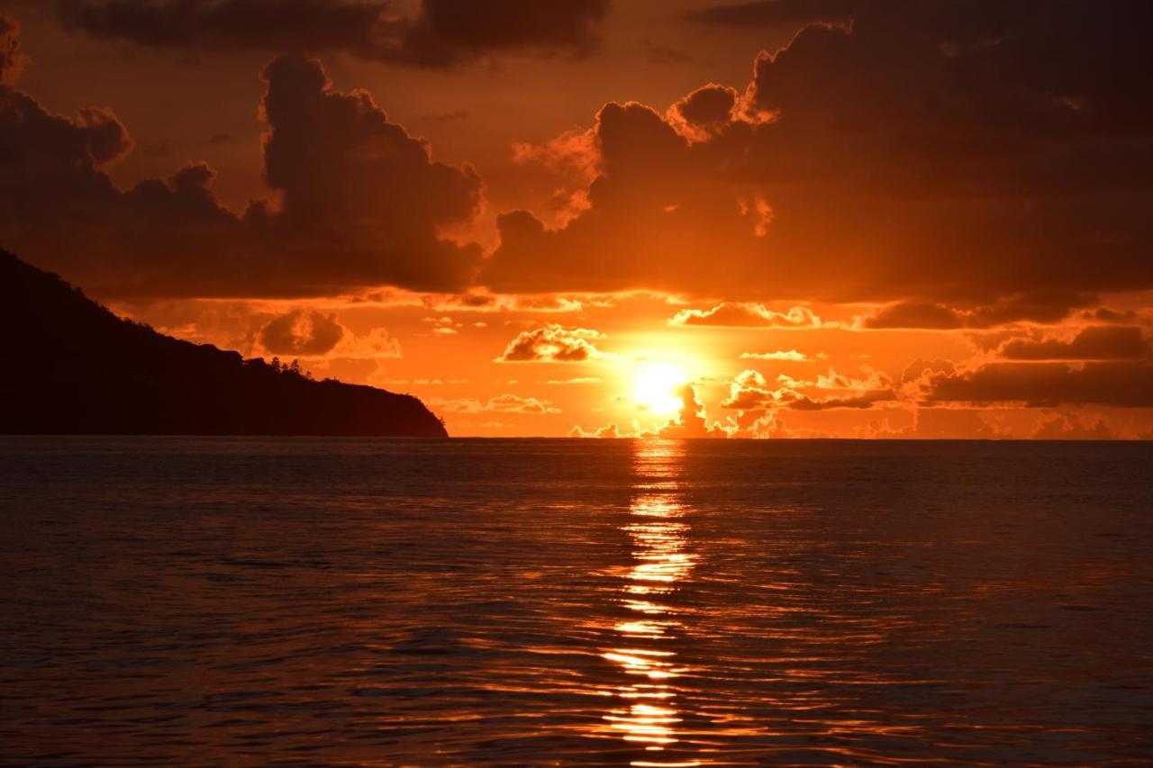 Le Chant De Merle Self -Catering Studios And Apartments Mahe Island Екстер'єр фото